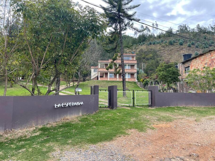 Photo of Others in Floresta