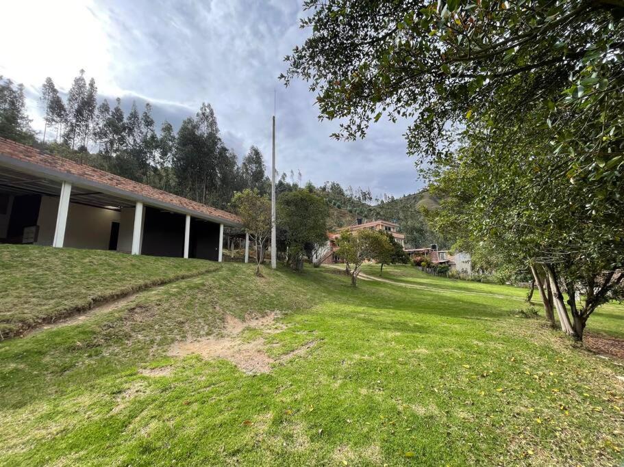 Photo of Others in Floresta