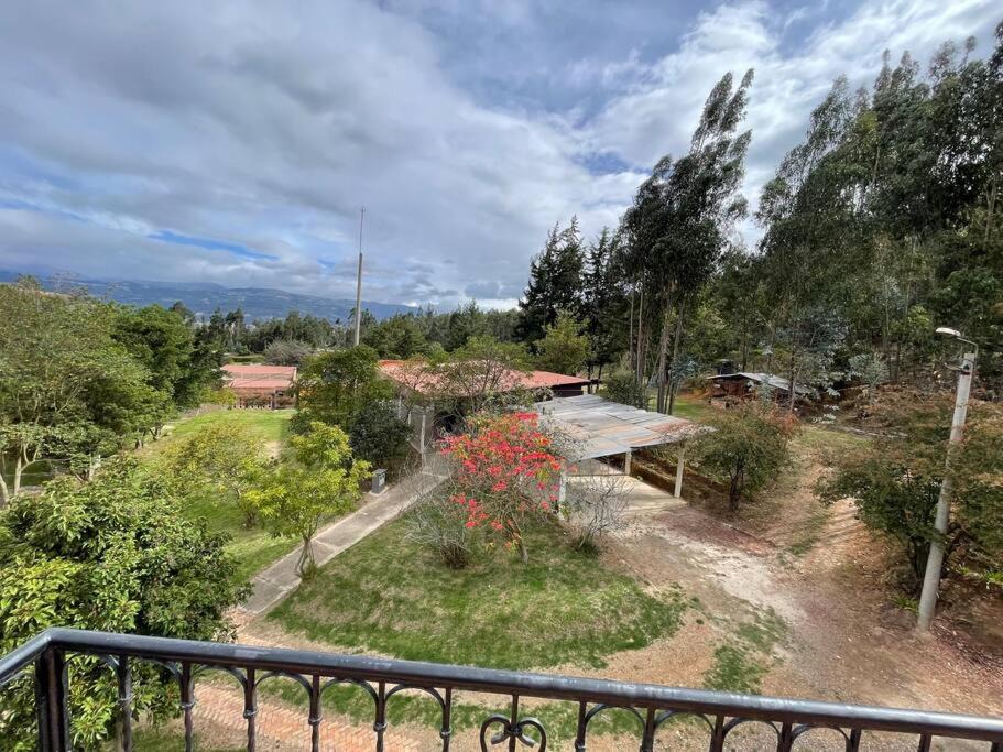 Photo of Others in Floresta