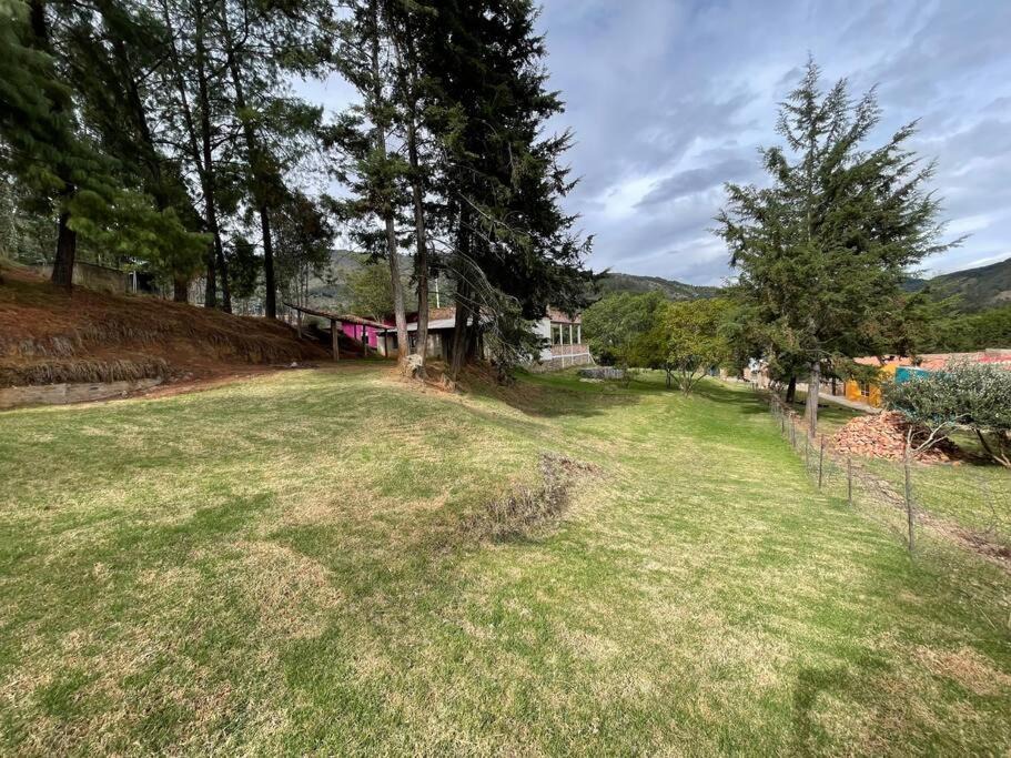 Photo of Others in Floresta