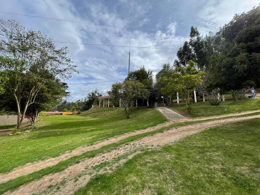 Photo of Others in Floresta