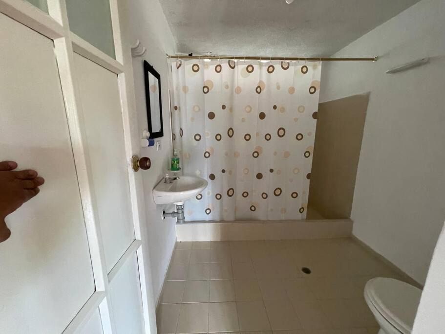 Photo of Bathroom in Floresta