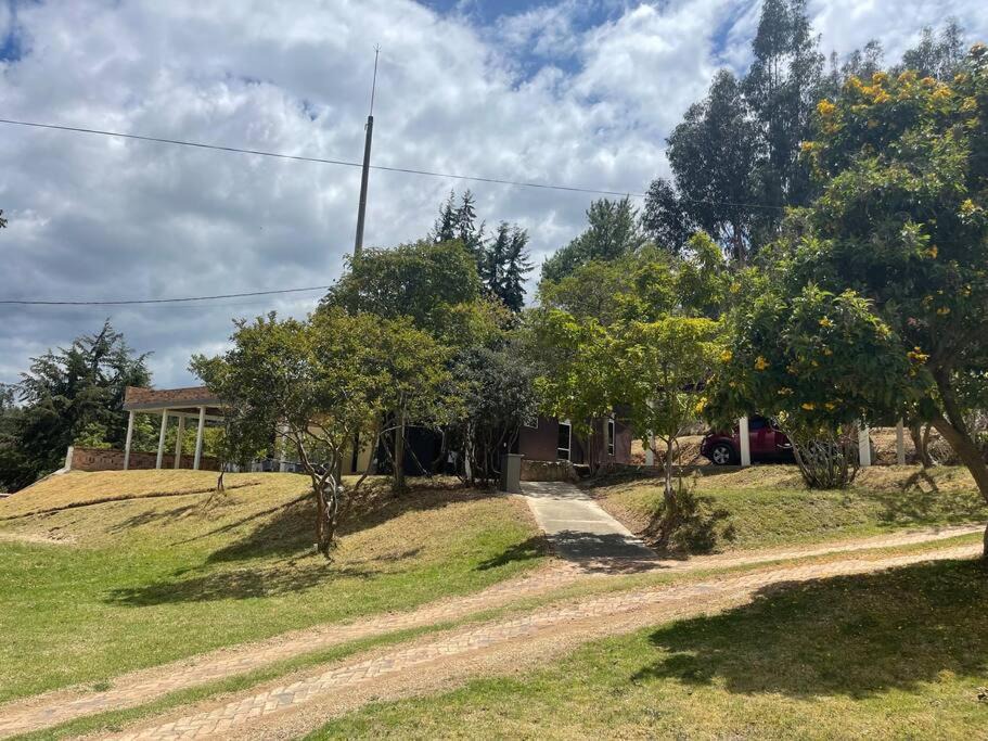 Photo of Others in Floresta