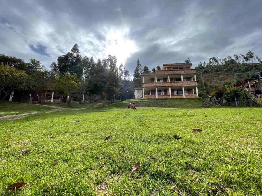 Photo of Others in Floresta