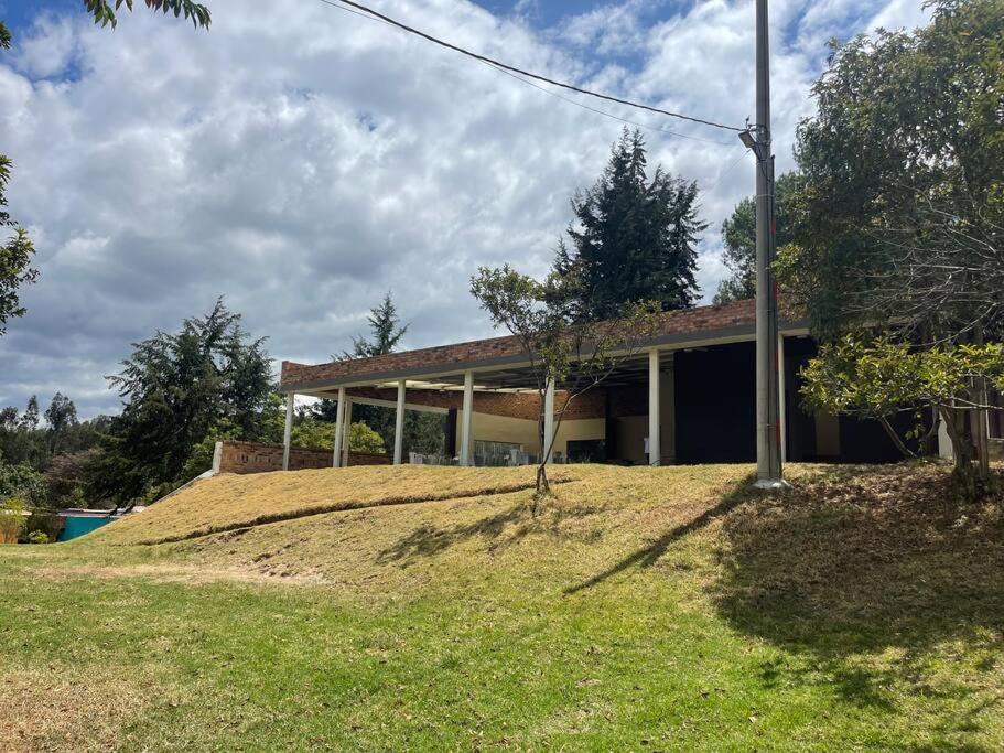 Photo of Others in Floresta