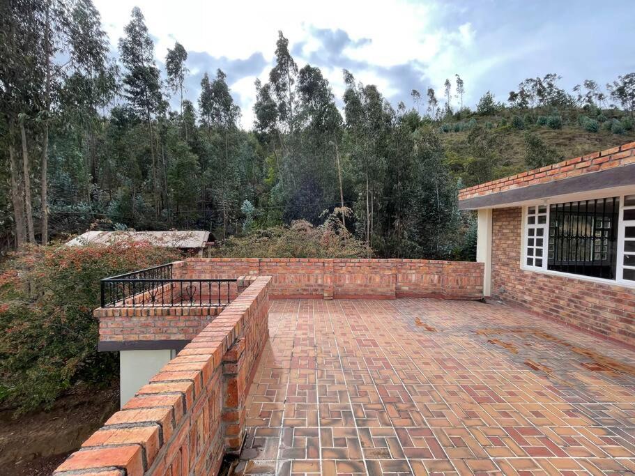 Photo of Others in Floresta