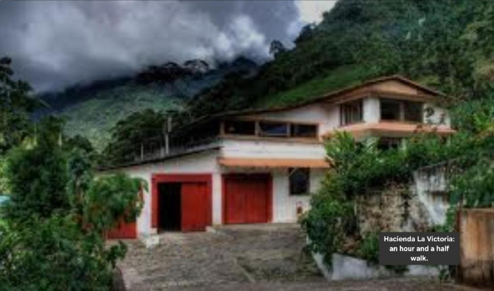 Photo of Others in Minca