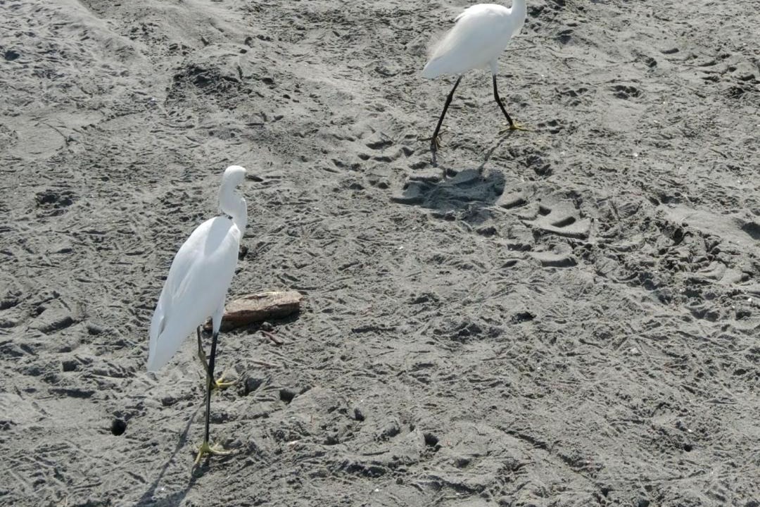 Photo of Others in Santa Marta