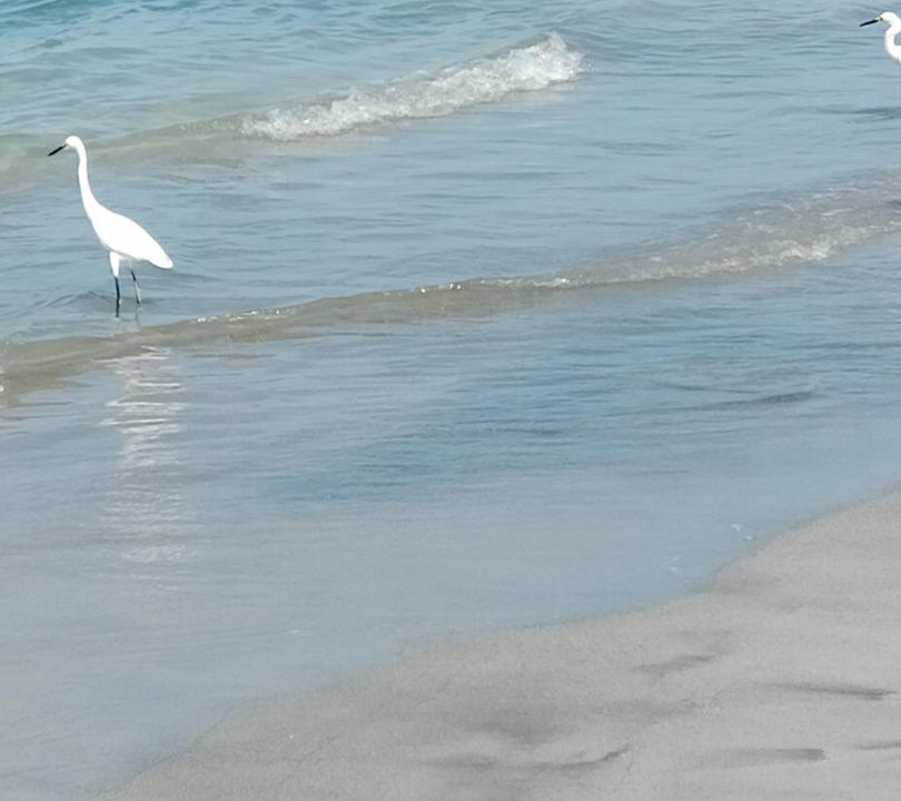 Photo of Others in Santa Marta