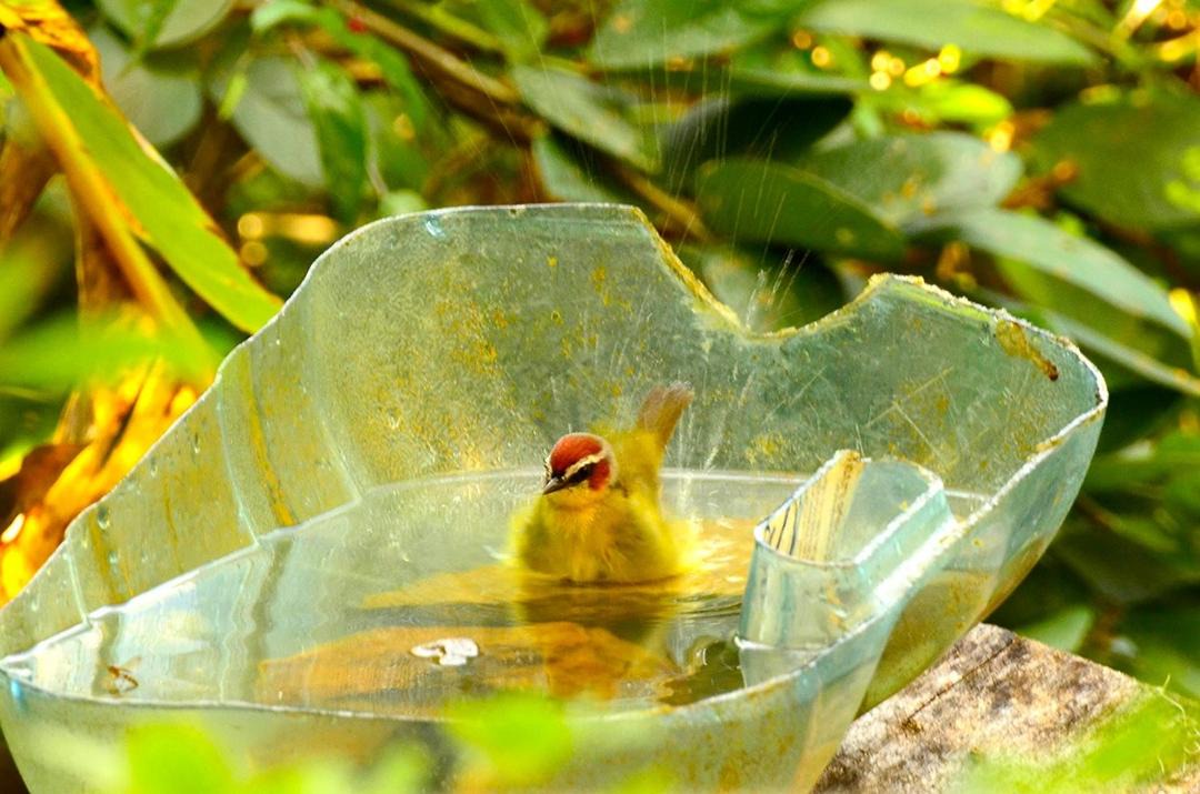 Photo of Others in Barichara