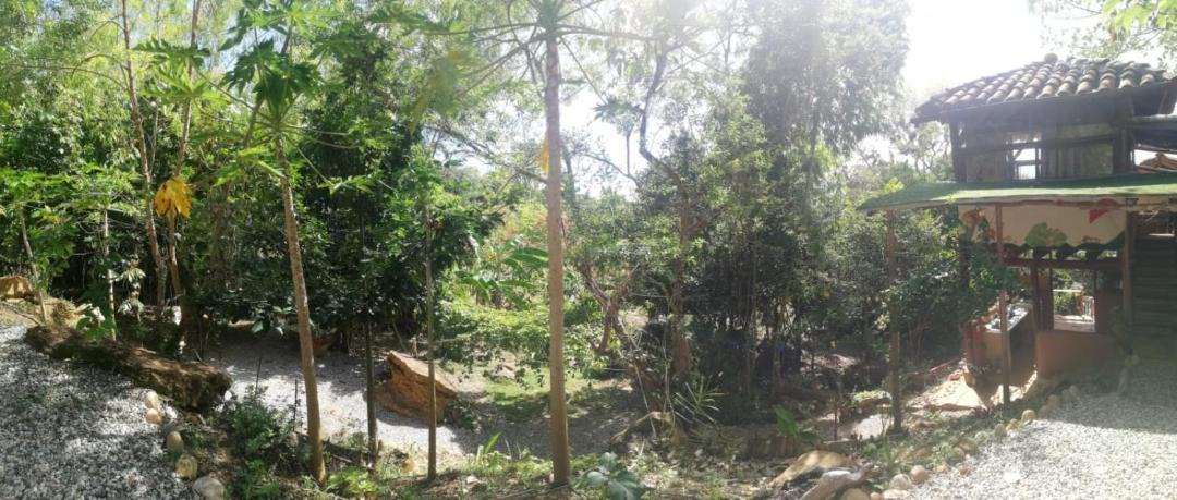 Photo of Others in Barichara