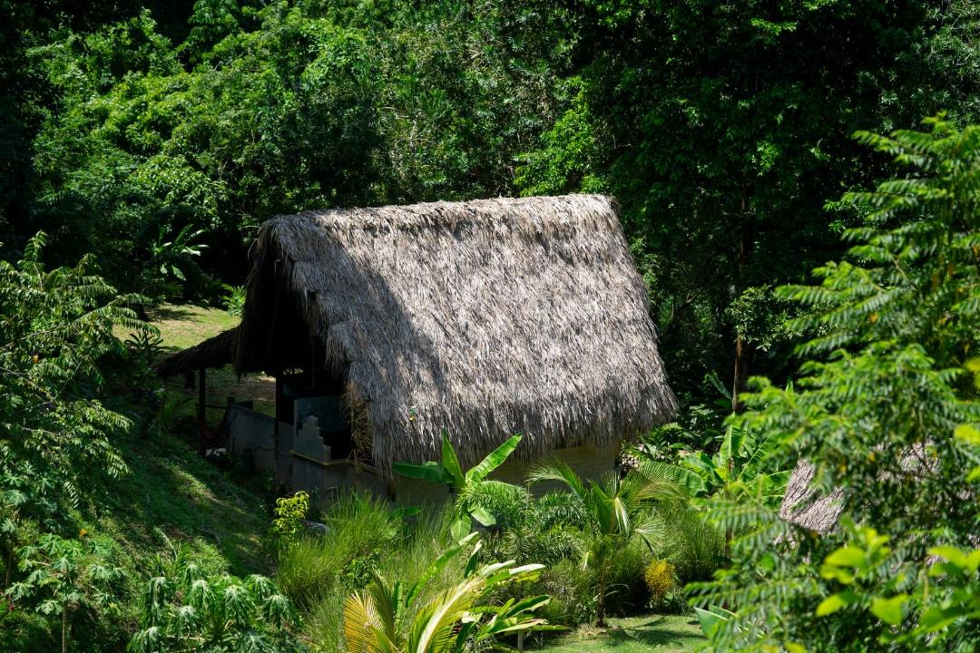 Photo of Others in Buritaca