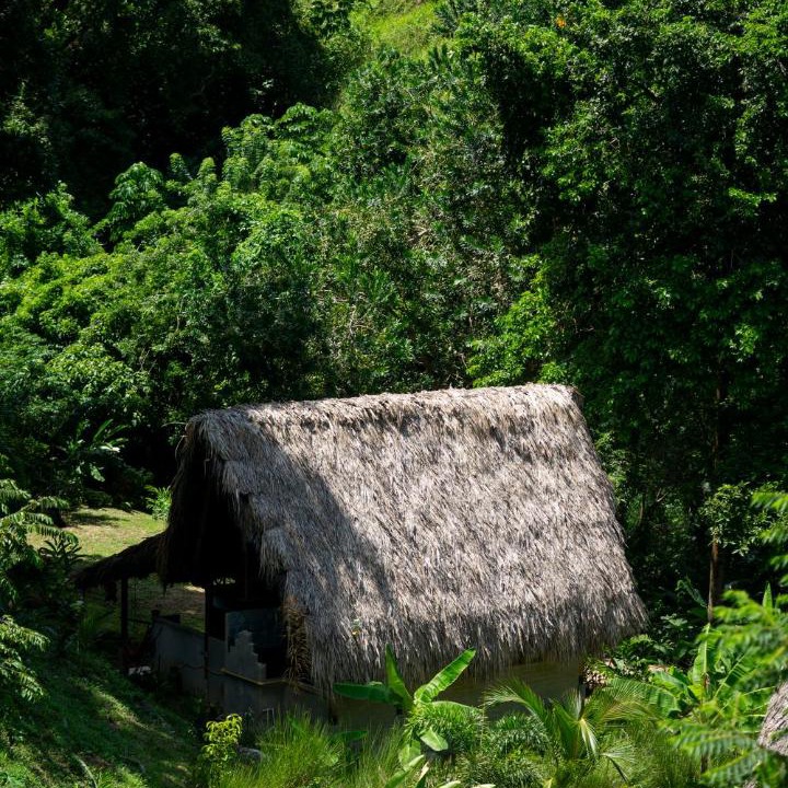 Photo of Others in Buritaca
