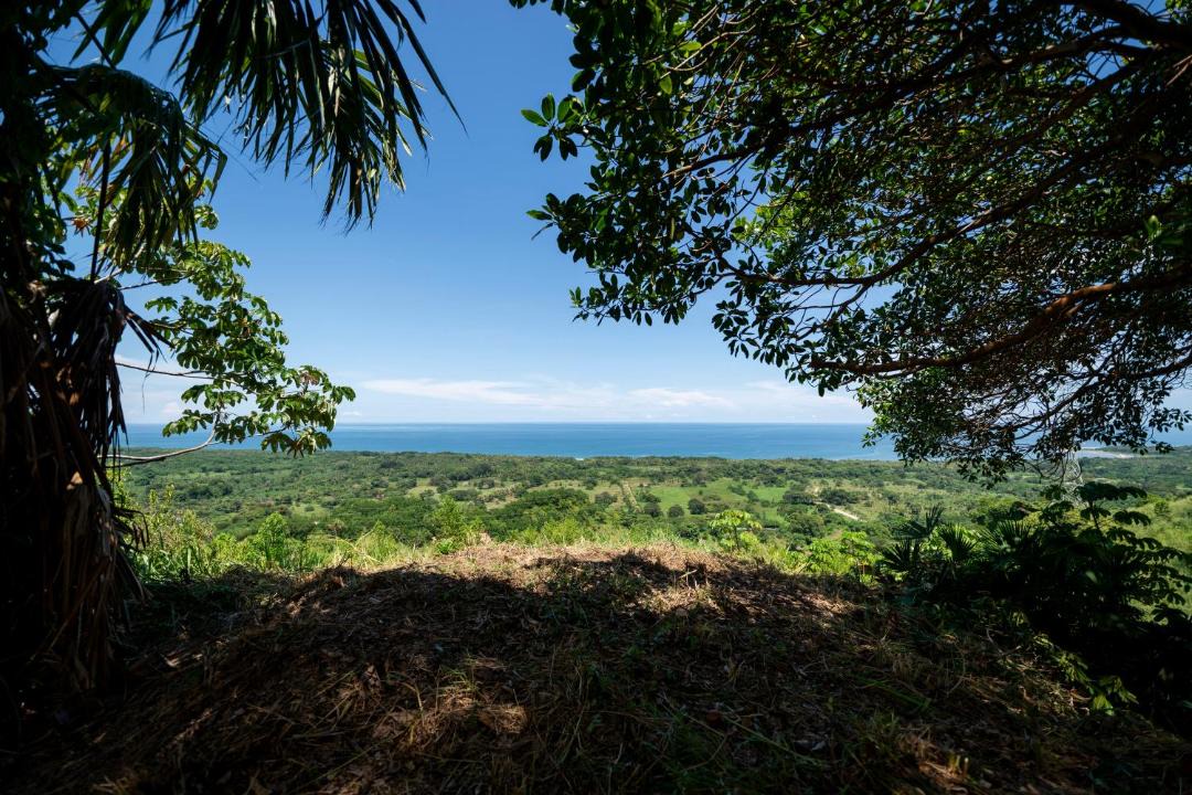 Photo of Others in Buritaca