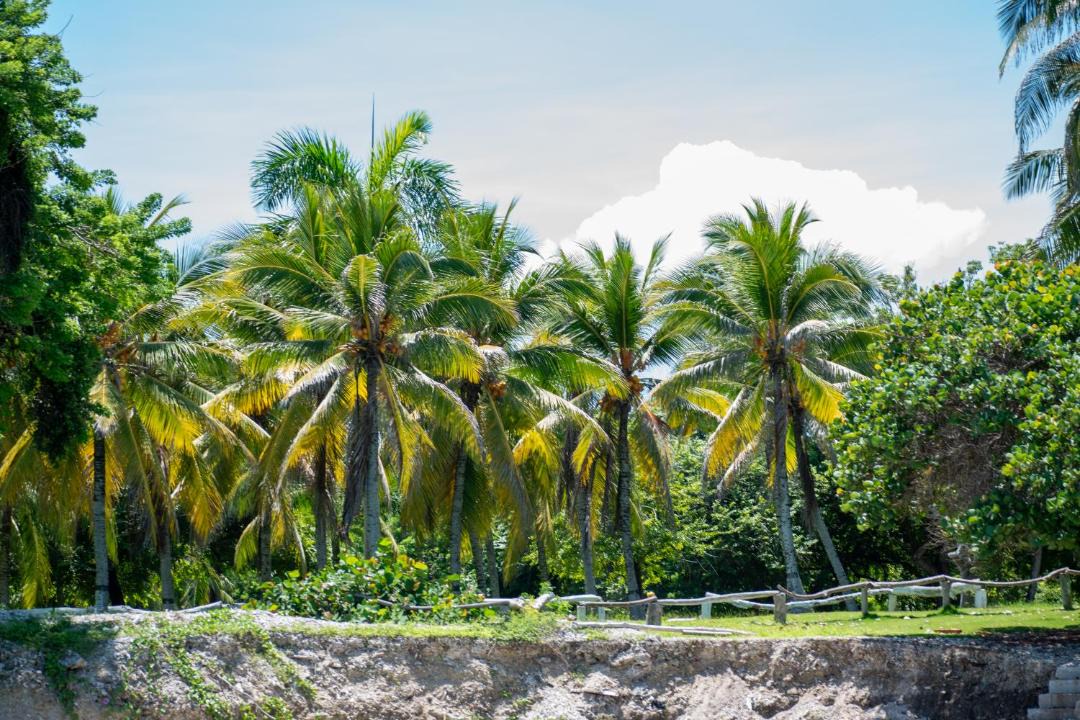 Photo of Others in Rosario Islands