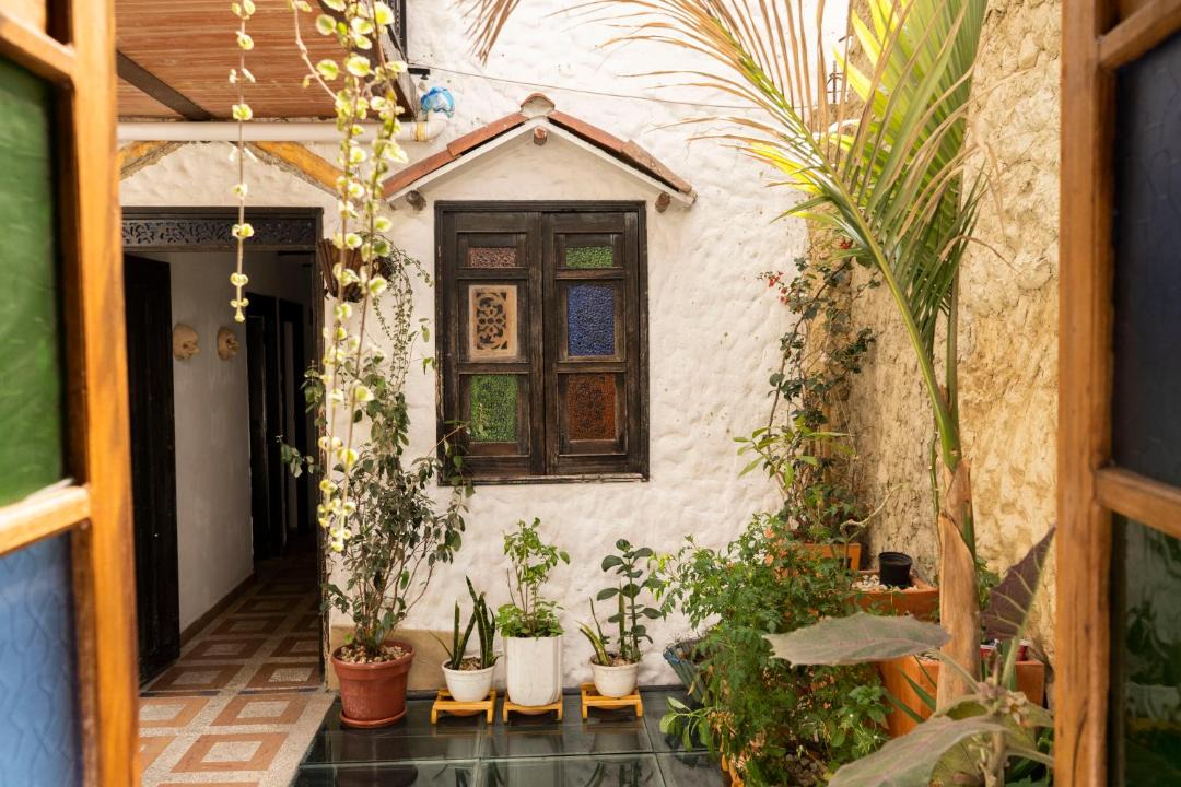Photo of Others in La Candelaria