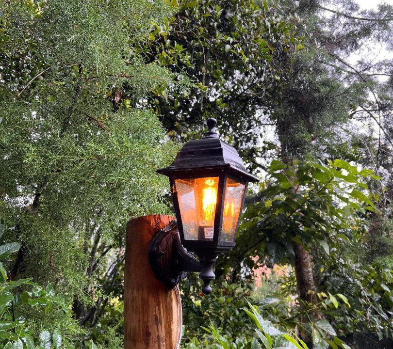 Photo of Others in Jardin