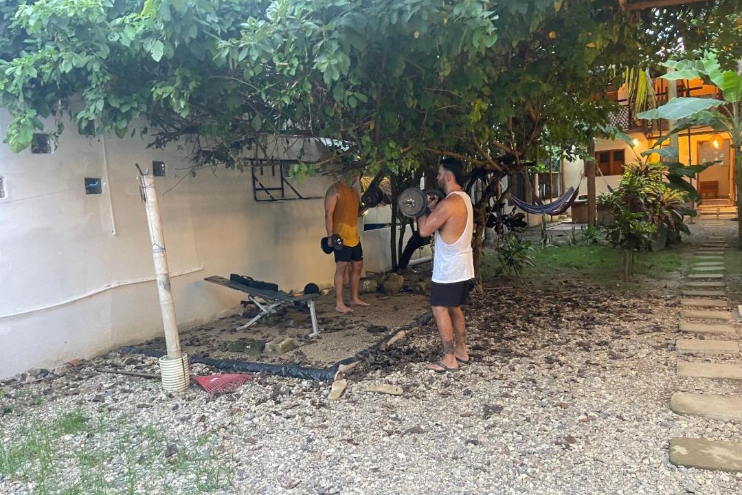 Photo of Others in Palomino