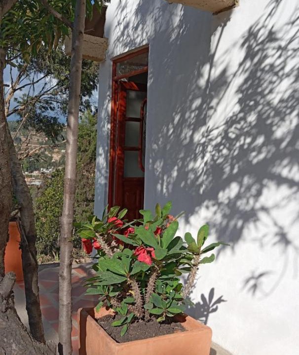 Photo of Others in Raquira