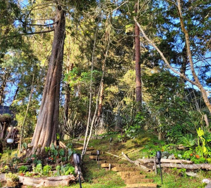 Photo of Others in Guarne