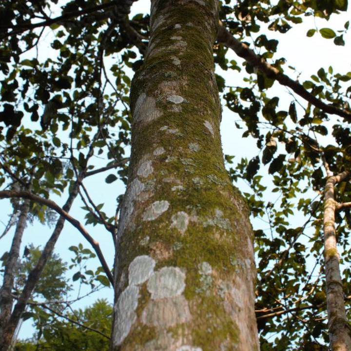 Photo of Others in Puerto Triunfo