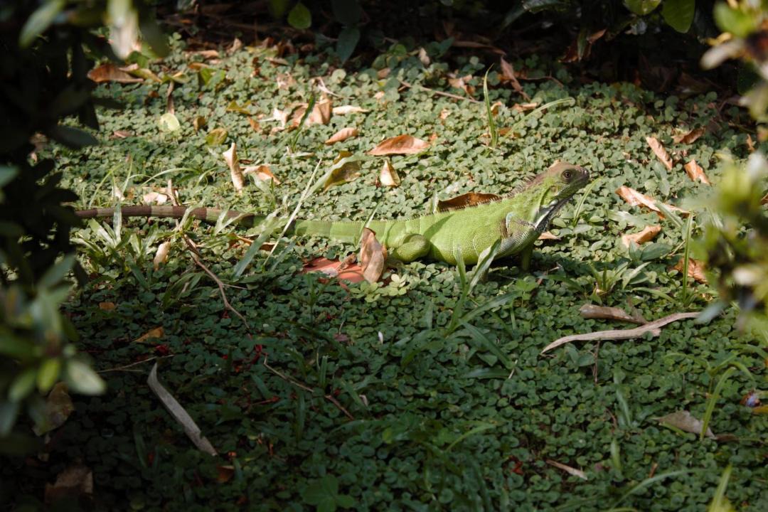 Photo of Others in Puerto Triunfo