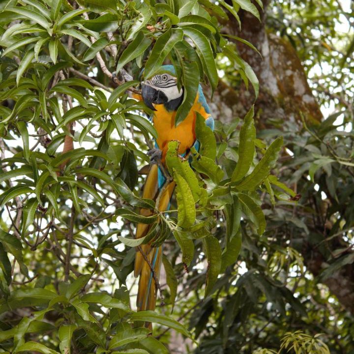 Photo of Others in Puerto Triunfo