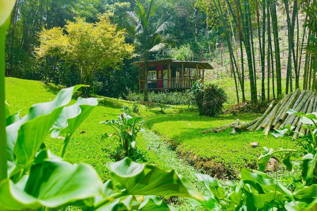 Photo of Others in Jardin