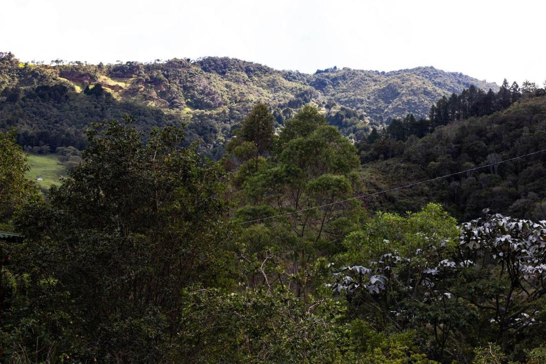 Photo of Others in Rionegro