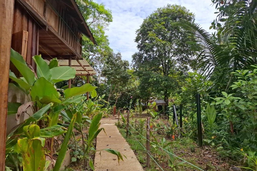 Photo of Others in Uramba National Park