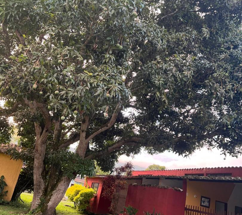 Photo of Others in Guaduas