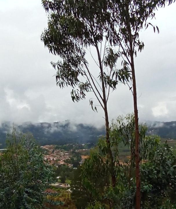 Photo of Others in Raquira