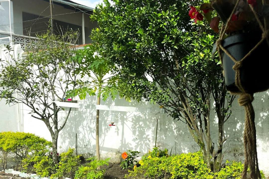Photo of Others in Guaduas