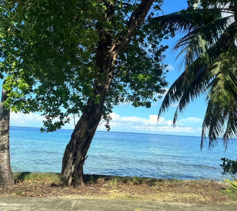 Photo of Others in Punta Sur