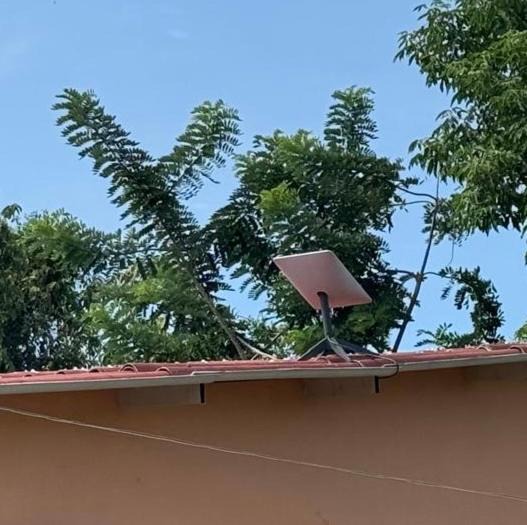 Photo of Others in Palomino