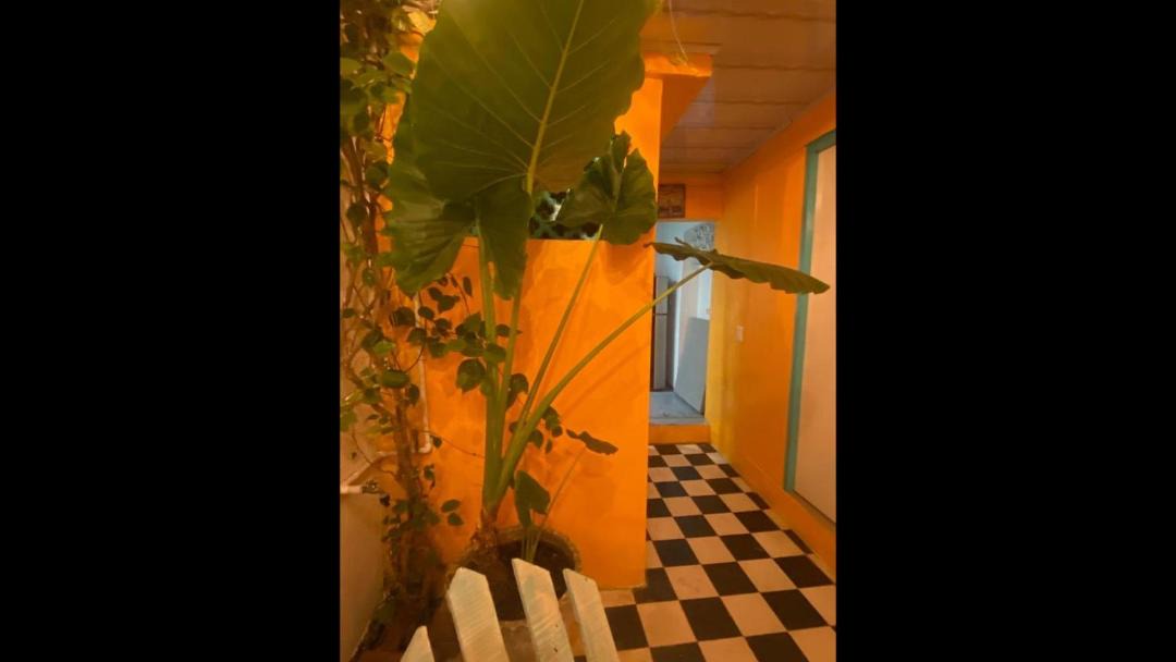 Photo of Others in Cartagena Walled City