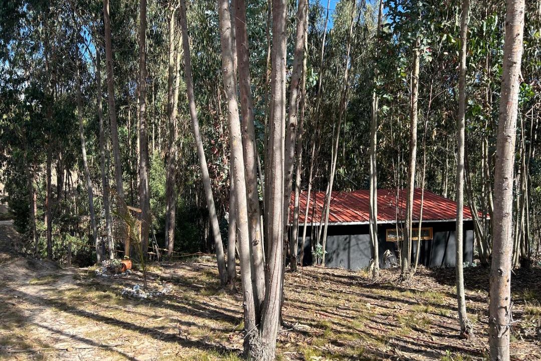 Photo of Others in Firavitoba