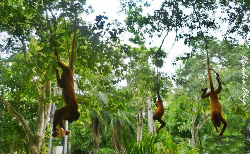 Photo of Others in Monteria