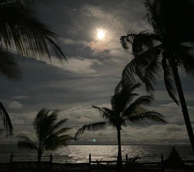 Photo of Others in Necocli