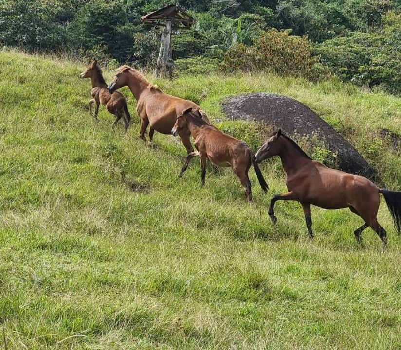 Photo of Others in Alejandria