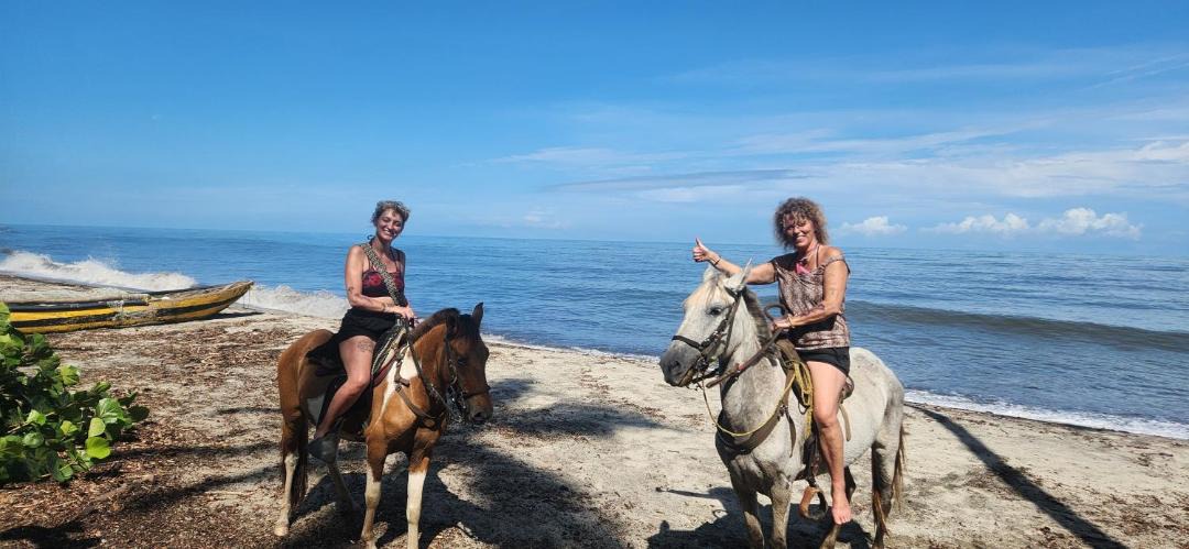 Photo of Others in Palomino