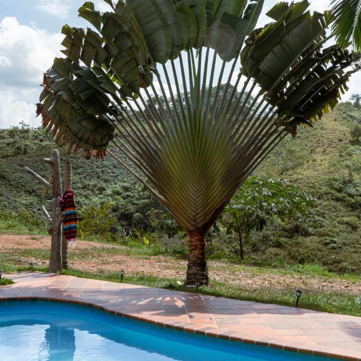 Photo of Others in Yolombo