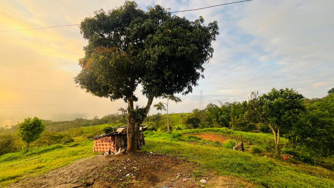 Photo of Others in Moniquira