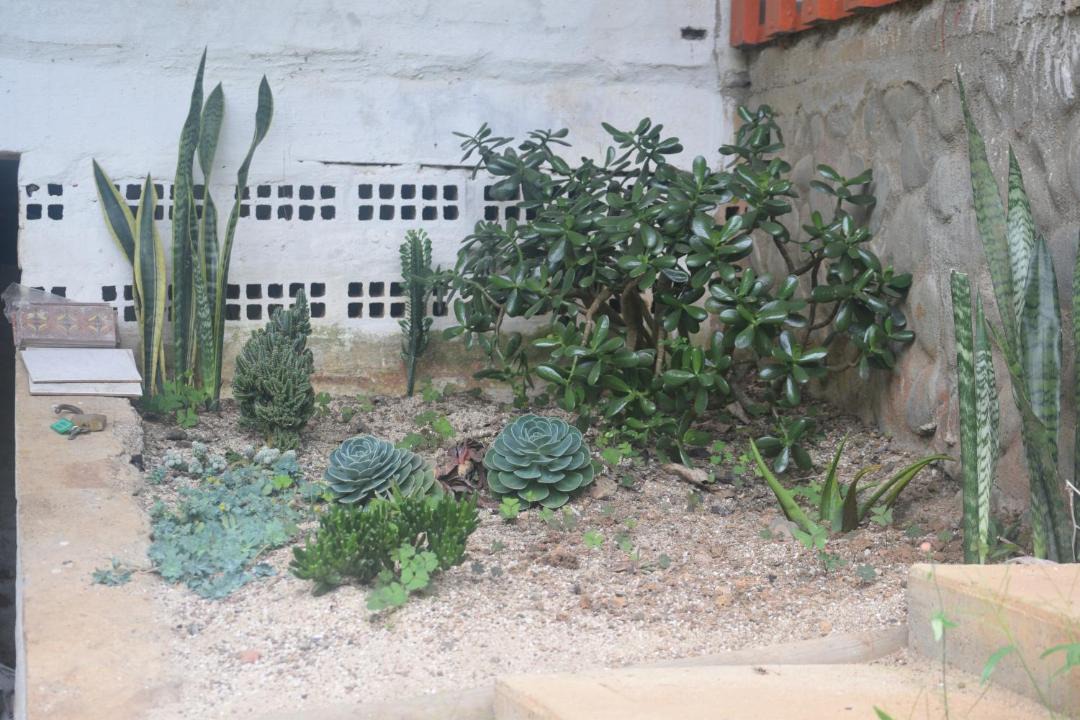 Photo of Others in Dagua
