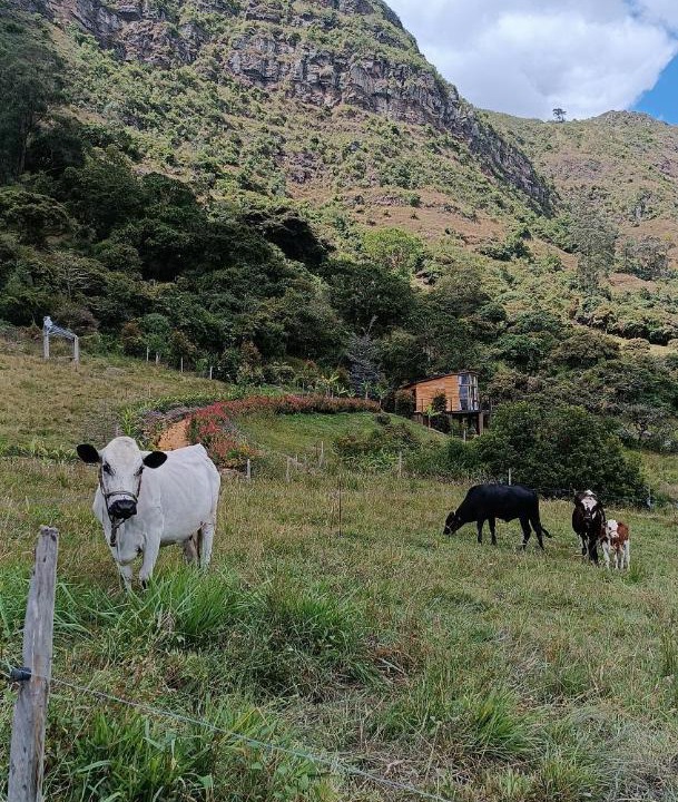 Photo of Others in Macheta