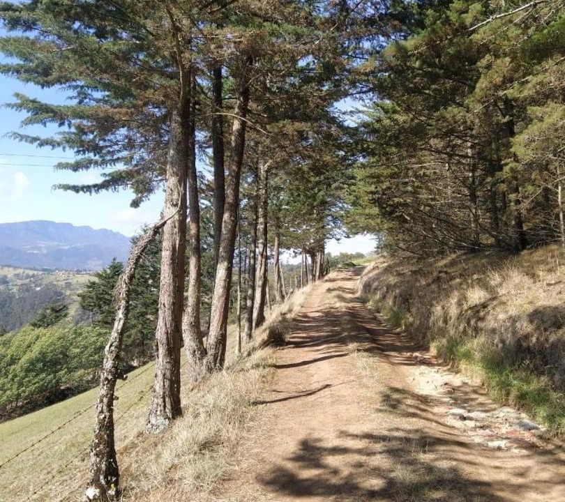 Photo of Others in Choconta