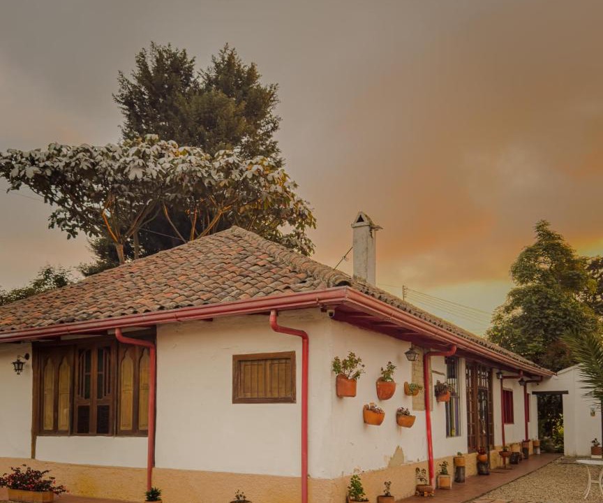 Photo of Others in El Rosal