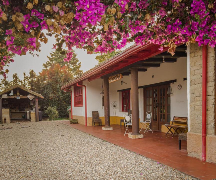 Photo of Others in El Rosal