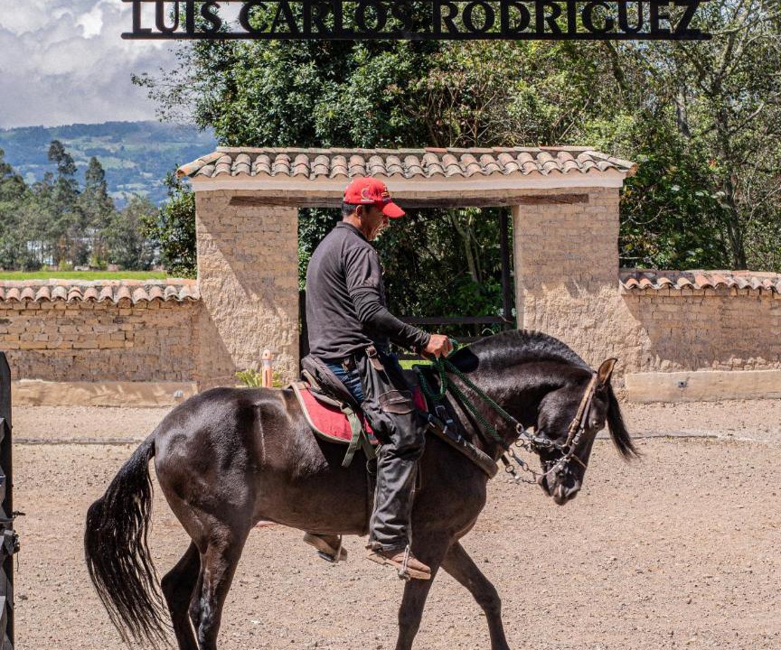 Photo of Others in El Rosal