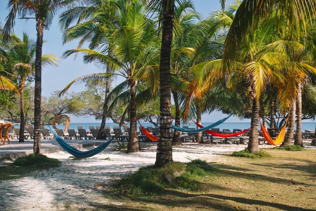 Photo of Others in Rosario Islands
